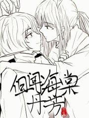 红杏传媒官网直接进入免费
